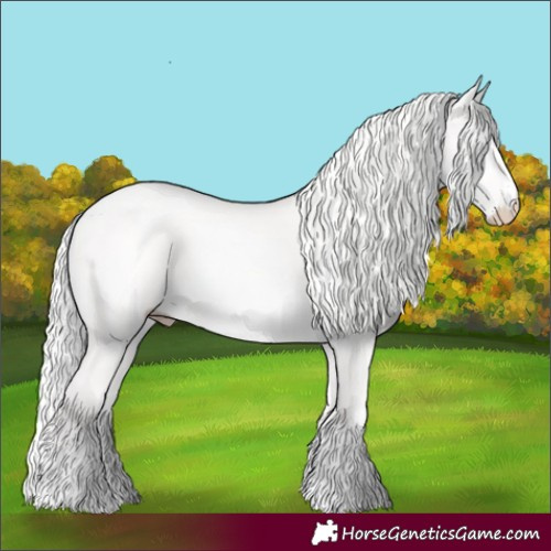 Horse Color:Cremello Dun 