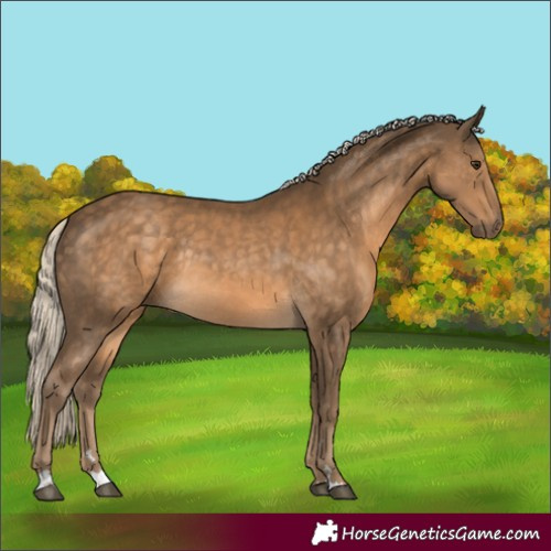 Horse Color:Chocolate Palomino Rabicano 