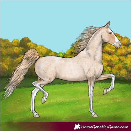 Horse Color:Red Roan Pearl Splash 