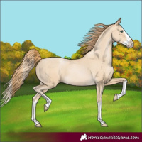 Horse Color:Smoky Black Pearl Splash 