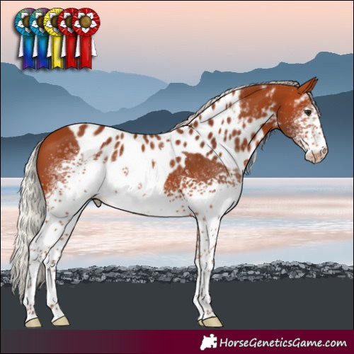 Horse Color:White Spotted Silver Bay Tobiano Skewed LP Spotted