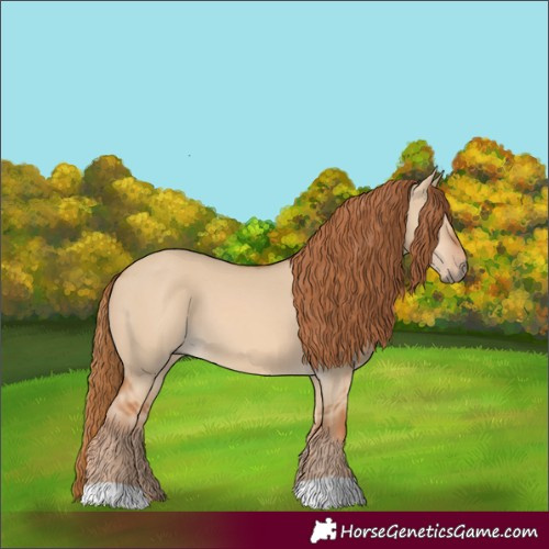 Horse Color:Red Dun