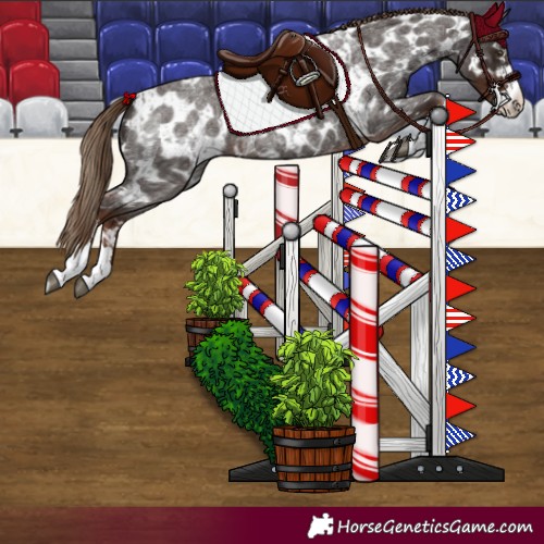 Horse Color:Liver Red Roan  and Liver Red Roan Appaloosa 