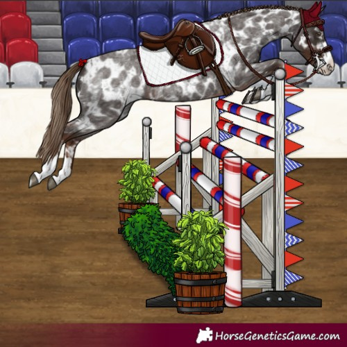 Horse Color:Liver Red Roan  and Liver Red Roan Near Leopard 