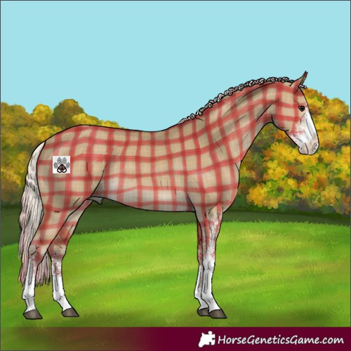 Horse Color:Plaid  Silver Smoky Grullo Sabino 