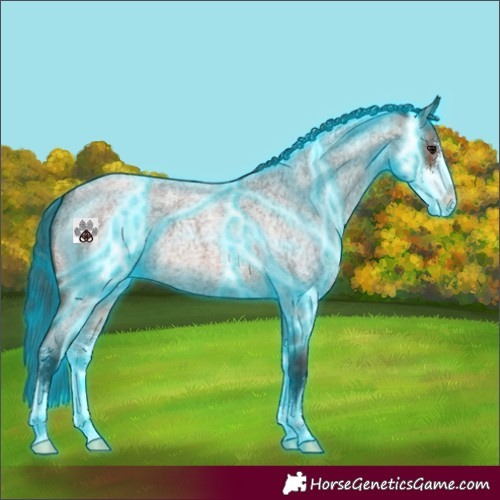 Horse Color:Thunderstruck Brown Roan Sabino