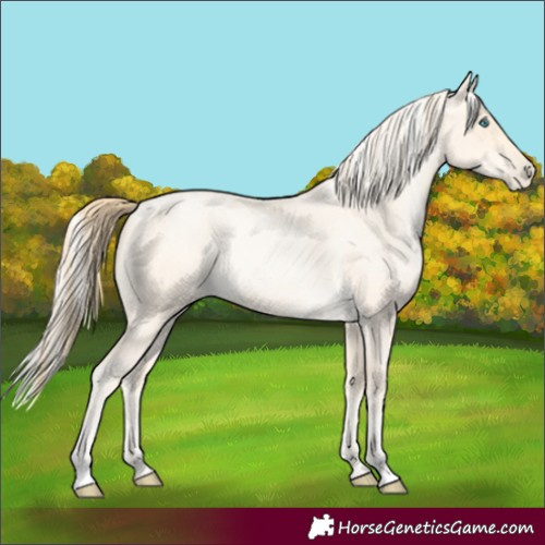 Horse Color:Buckskin Roan Pearl and Silver Buckskin Roan Pearl