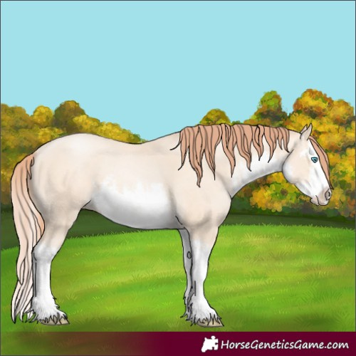 Horse Color:White Spotted Sable Cream Champagne Pearl Splash 