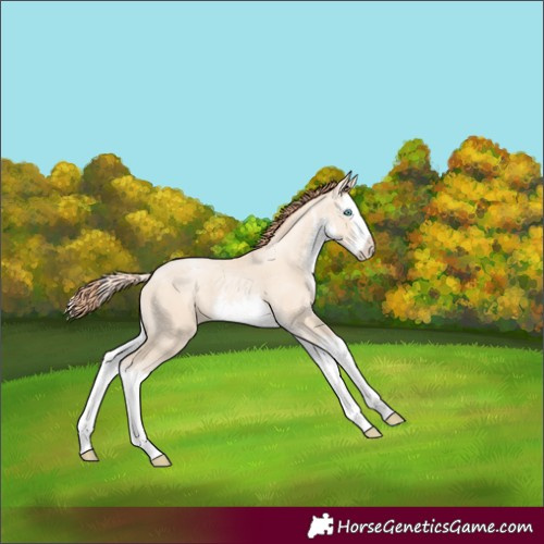 Horse Color:White Spotted Sable Cream Champagne Pearl Splash 