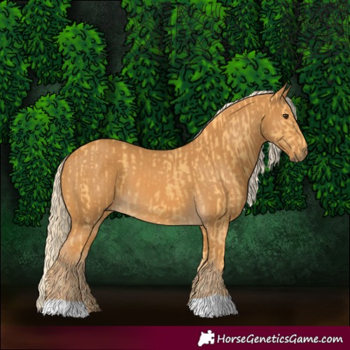 Horse Color:Palomino  and Palomino 