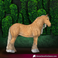Horse Color:Palomino  and Palomino 