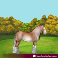 Horse Color:Gray Gold Champagne Splash Rabicano 