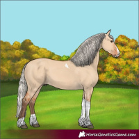 Horse Color:Silver Bay Dun Splash Tobiano Rabicano