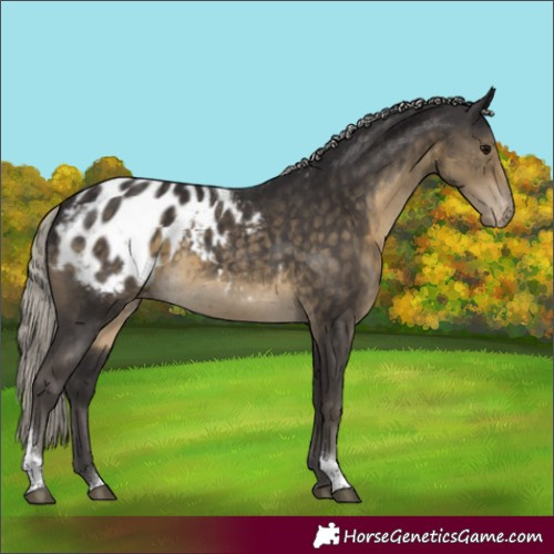Horse Color:Silver Smoky Black Tobiano Blanket Rabicano 