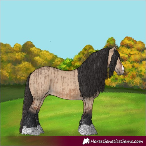 Horse Color:Brown Dun  and Bay Dun 