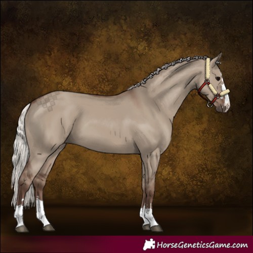 Horse Color:Unknown 