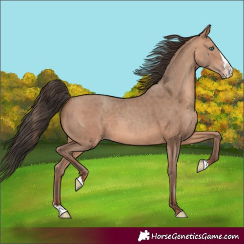 Horse Color:Sable Champagne Splash