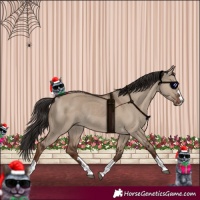 Horse Color:Liver Red Dun Rabicano