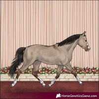 Horse Color:Liver Red Dun Rabicano