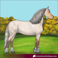 Horse Color:Silver Bay Roan Dun