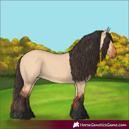 Horse Color:Bay Dun 