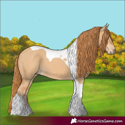 Horse Color:Red Dun Tobiano 