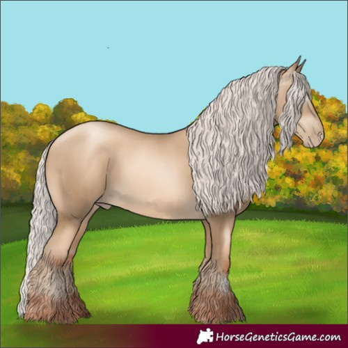 Horse Color:Gray Silver Sable Cream Champagne Pearl 