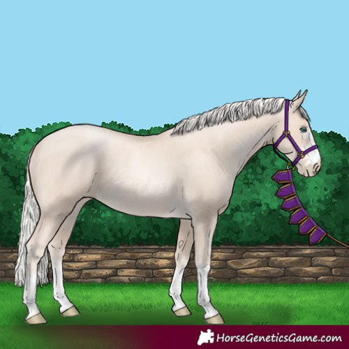 Horse Color:Gold Cream Champagne Pearl 