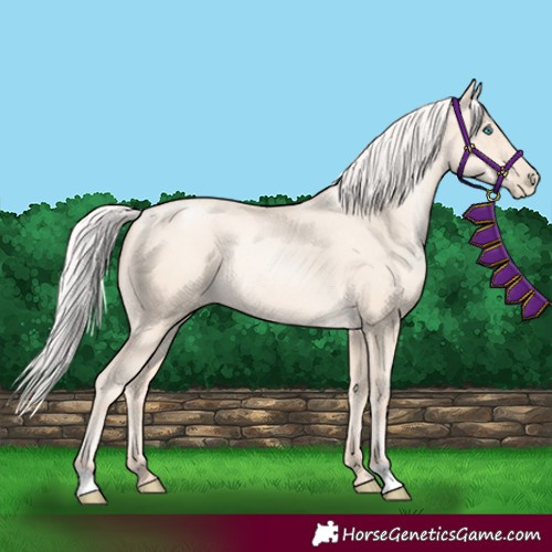 Horse Color:Silver Amber Cream Champagne Pearl 