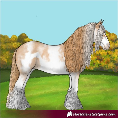 Horse Color:White Spotted Chestnut Sabino Frame