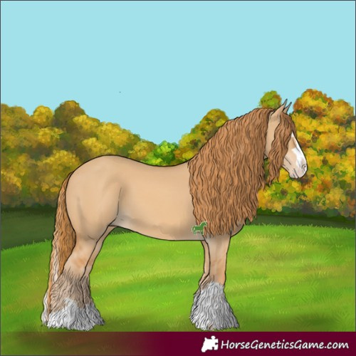 Horse Color:Red Dun Splash 