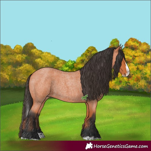 Horse Color:Bay Roan Splash 
