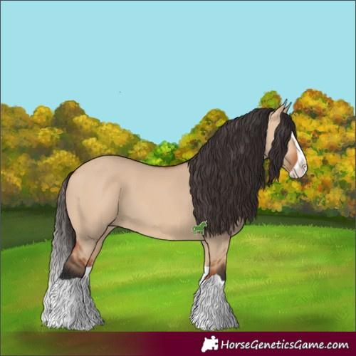 Horse Color:Bay Dun Splash 