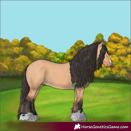 Horse Color:Unknown 