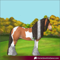 Horse Color:Bay Tobiano