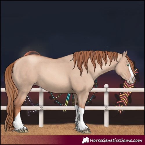 Horse Color:Gold Champagne Dun Splash Tobiano 