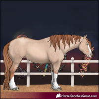 Horse Color:Gold Champagne Dun Splash Tobiano