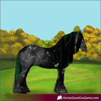 Horse Color:ERROR: UNKNOWN ANOMALY