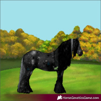 Horse Color:ERROR: UNKNOWN ANOMALY