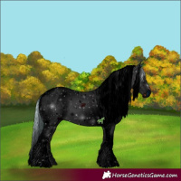Horse Color:ERROR: UNKNOWN ANOMALY