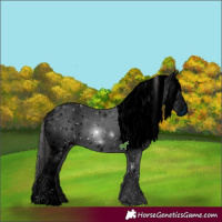 Horse Color:ERROR: UNKNOWN ANOMALY