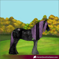 Horse Color:ERROR: UNKNOWN ANOMALY