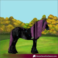 Horse Color:ERROR: UNKNOWN ANOMALY