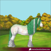 Horse Color:Watercolor White Spotted Bay Ice Onyx Sabino Splash