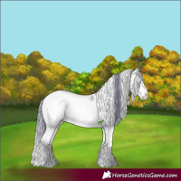Horse Color:Watercolor Chocolate Bay Ice Onyx Mushroom Sabino 