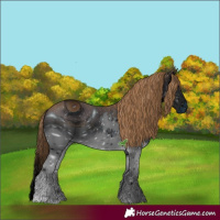 Horse Color:ERROR: UNKNOWN ANOMALY