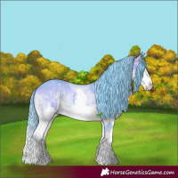 Horse Color:Watercolor White Spotted Chocolate Bay Onyx Sabino Splash 