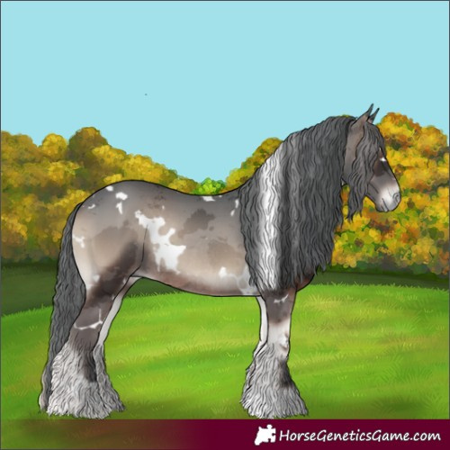 Horse Color:White Spotted Blue Onyx Merle Rabicano 