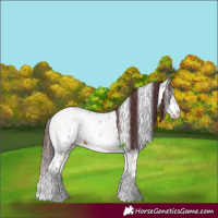 Horse Color:Chocolate Bay Onyx Mushroom Sabino Brindle