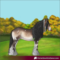 Horse Color:White Spotted Brown Onyx Mushroom Sabino